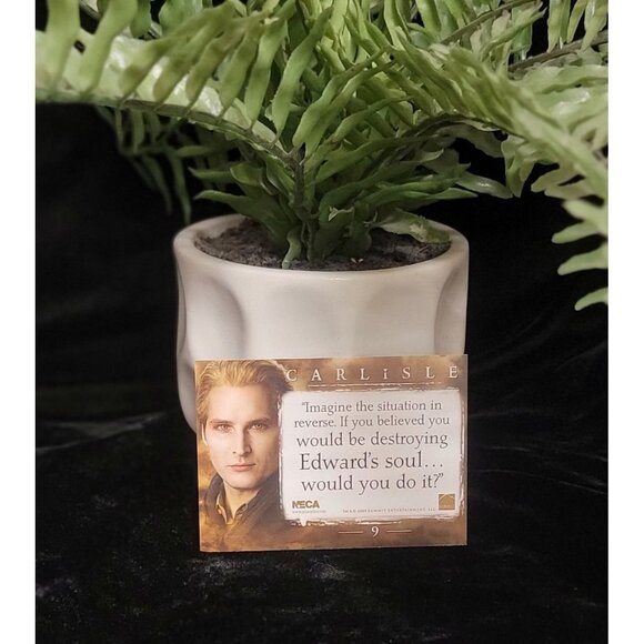 Collectible Carlisle Cullen New Moon Trading Card - Picture 4 of 6